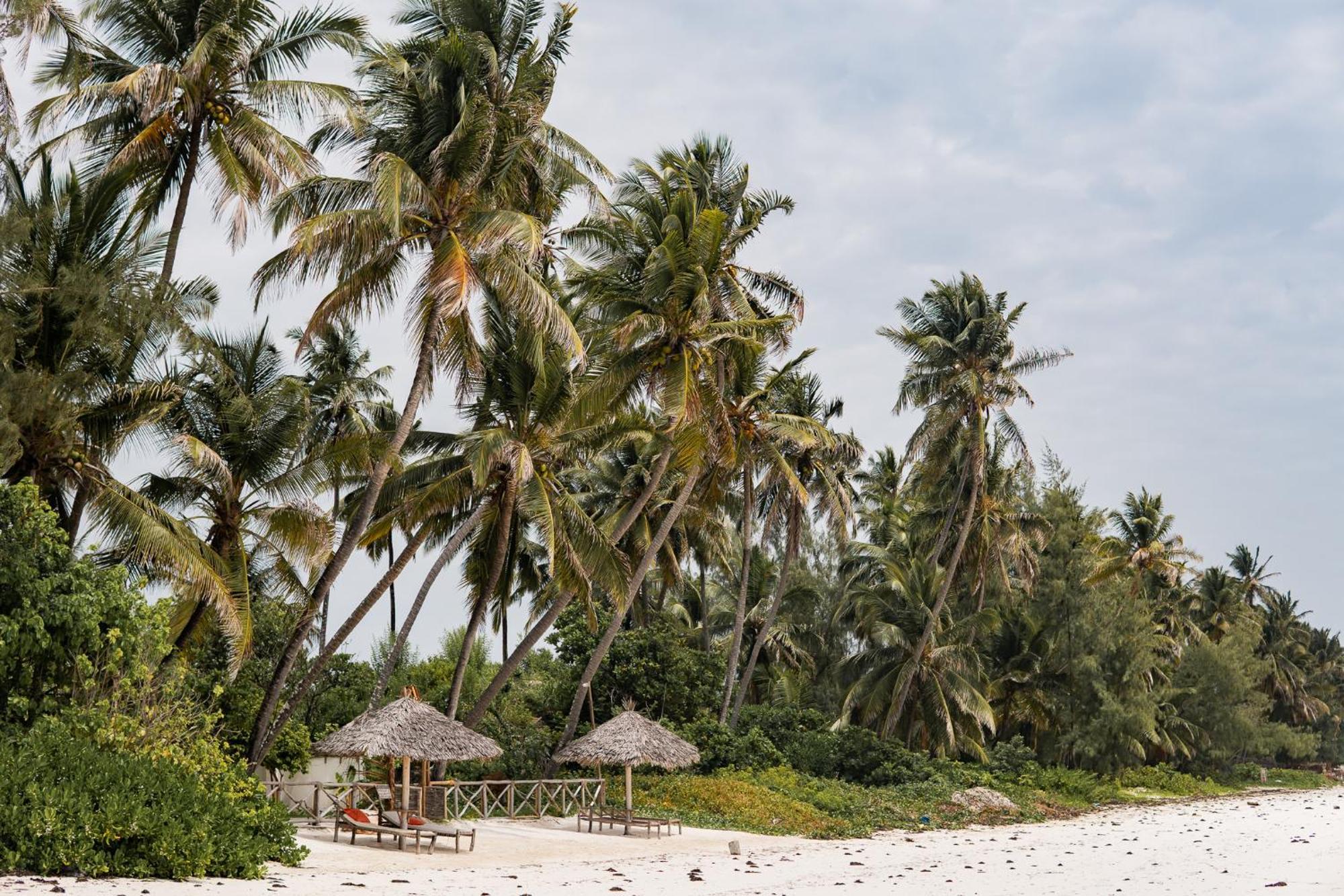 Kima Serviced Beach House & Suites ブウェワウ エクステリア 写真